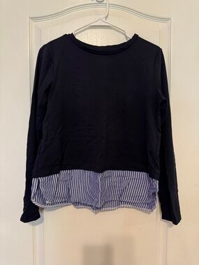 Ann Taylor Navy Long-Sleeve Pullover with Blue and White Striped Hem